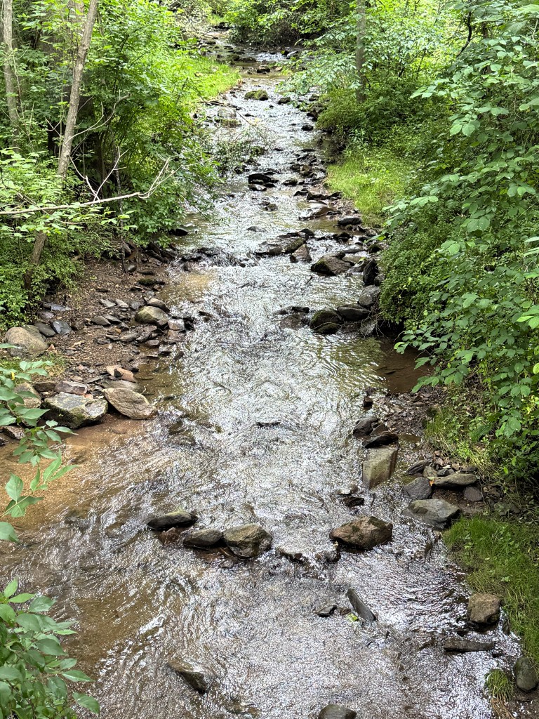 Water 01
